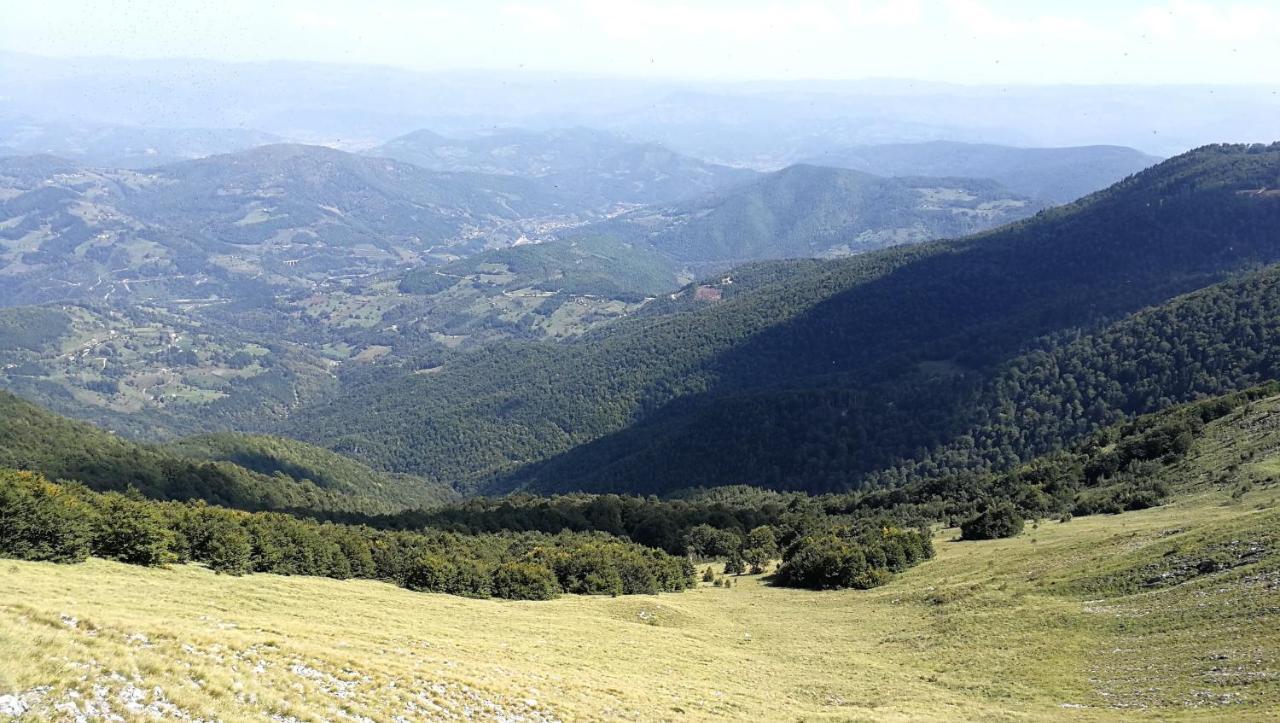 Koliba Pcelica 1-Spa Bijelo Polje Extérieur photo